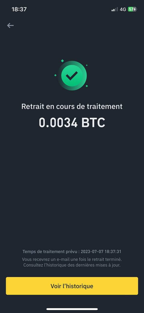 Investor Payment 3
