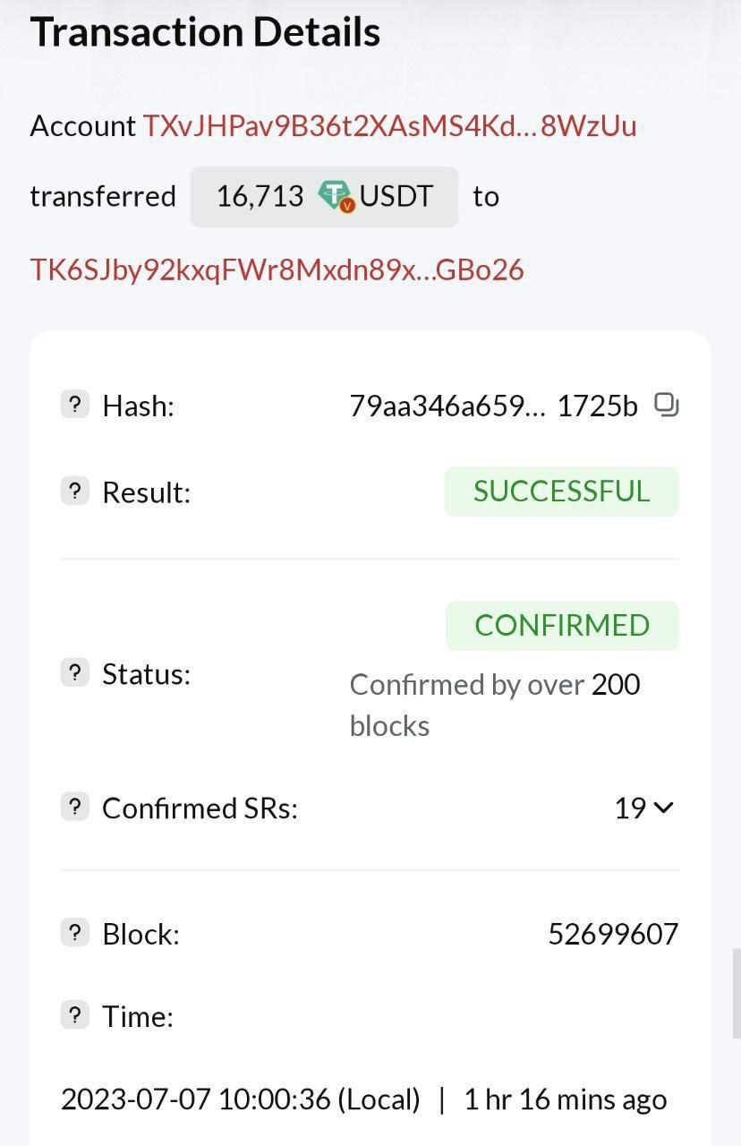Investor Payment 3