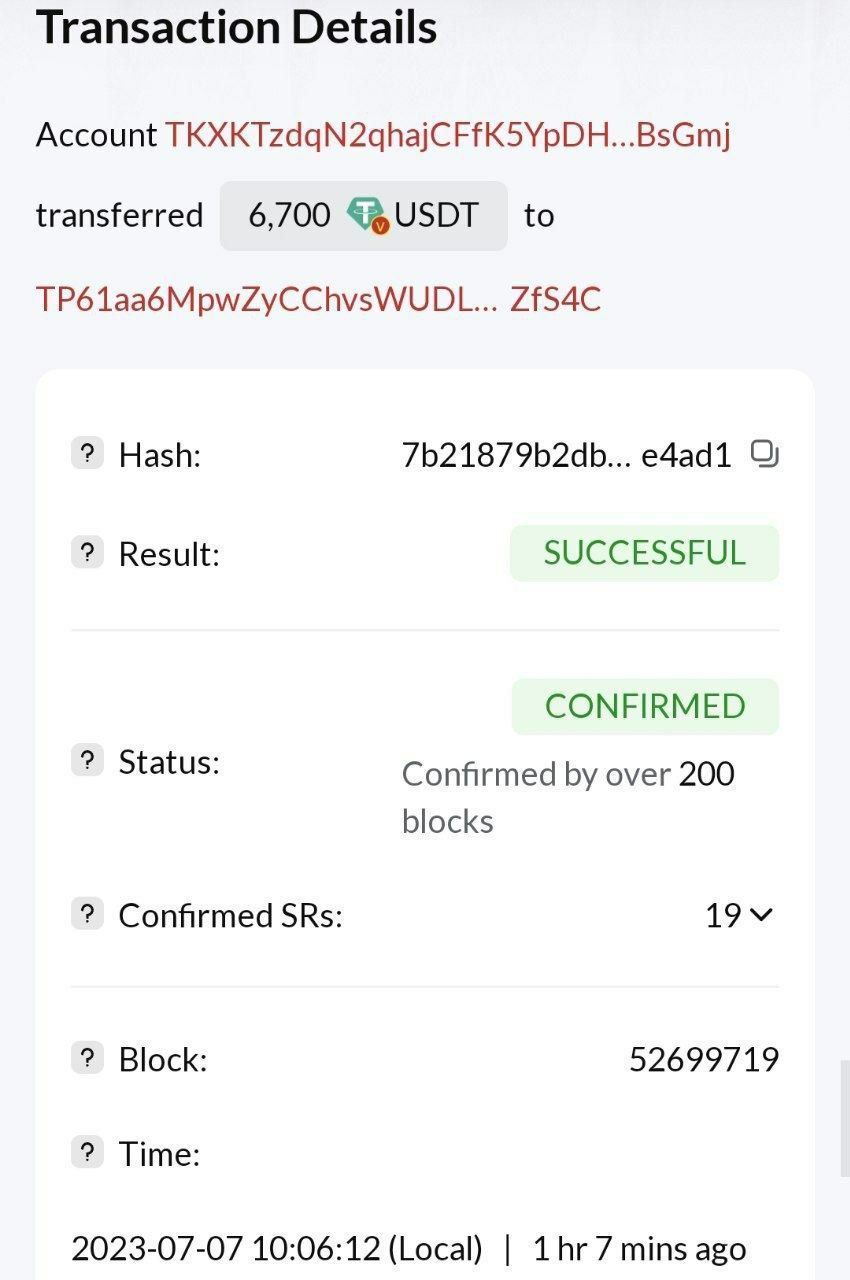 Investor Payment 3